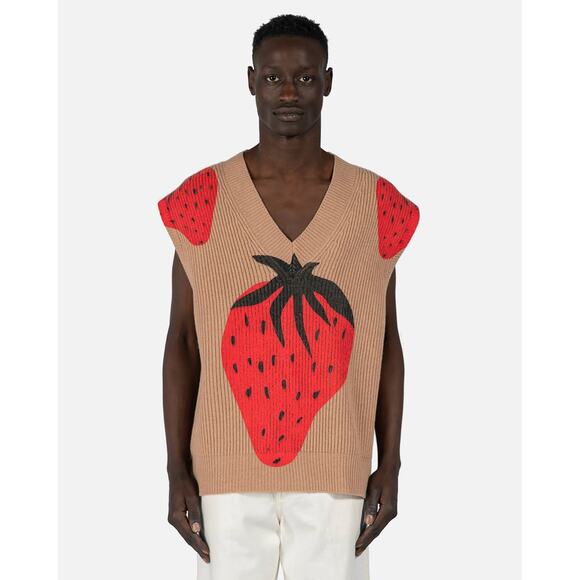 J.W. Anderson Strawberry Painted Intarsia Wool-Blend V-Neck Knit Sweater Vest - Picture 11 of 12